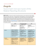 RHIS profile Angola 2023_FS-23-633t PMM.pdf